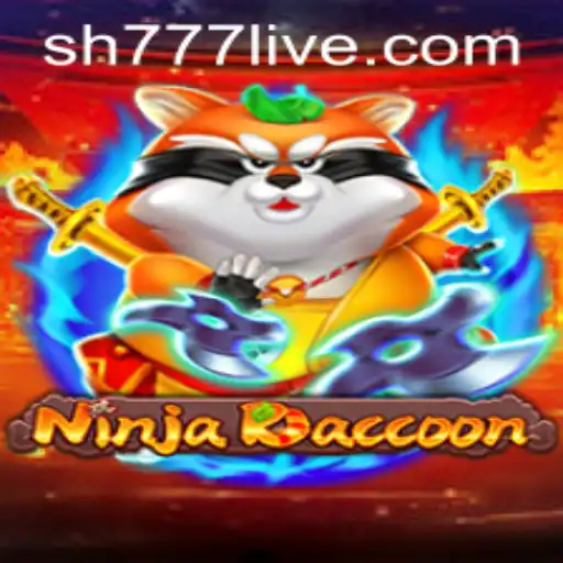 NinjaRaccoon: The Ultimate Adventure in Gaming